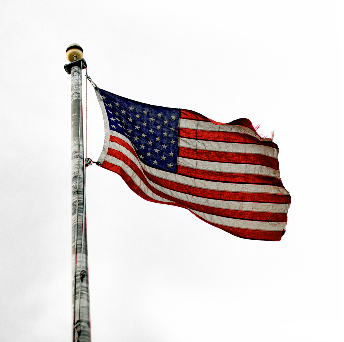 American Grit - King Fish Media