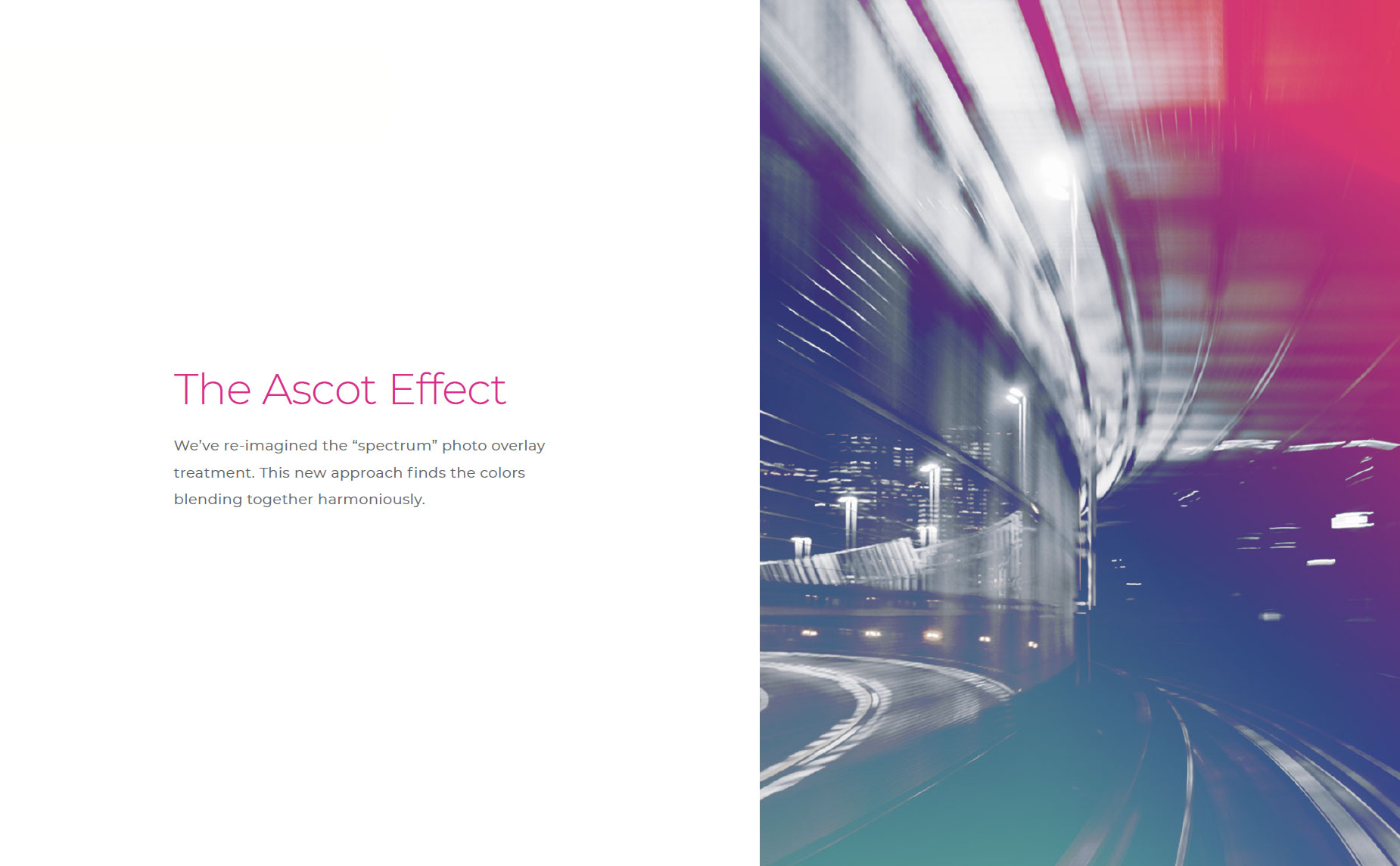 ascot-effect