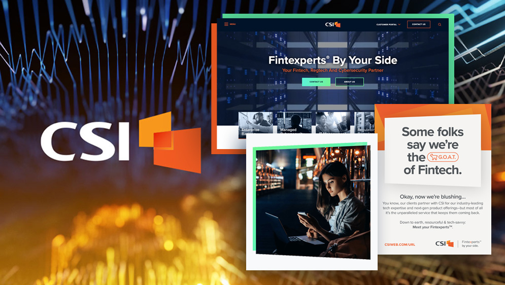 CSI B2B Marketing Case Study