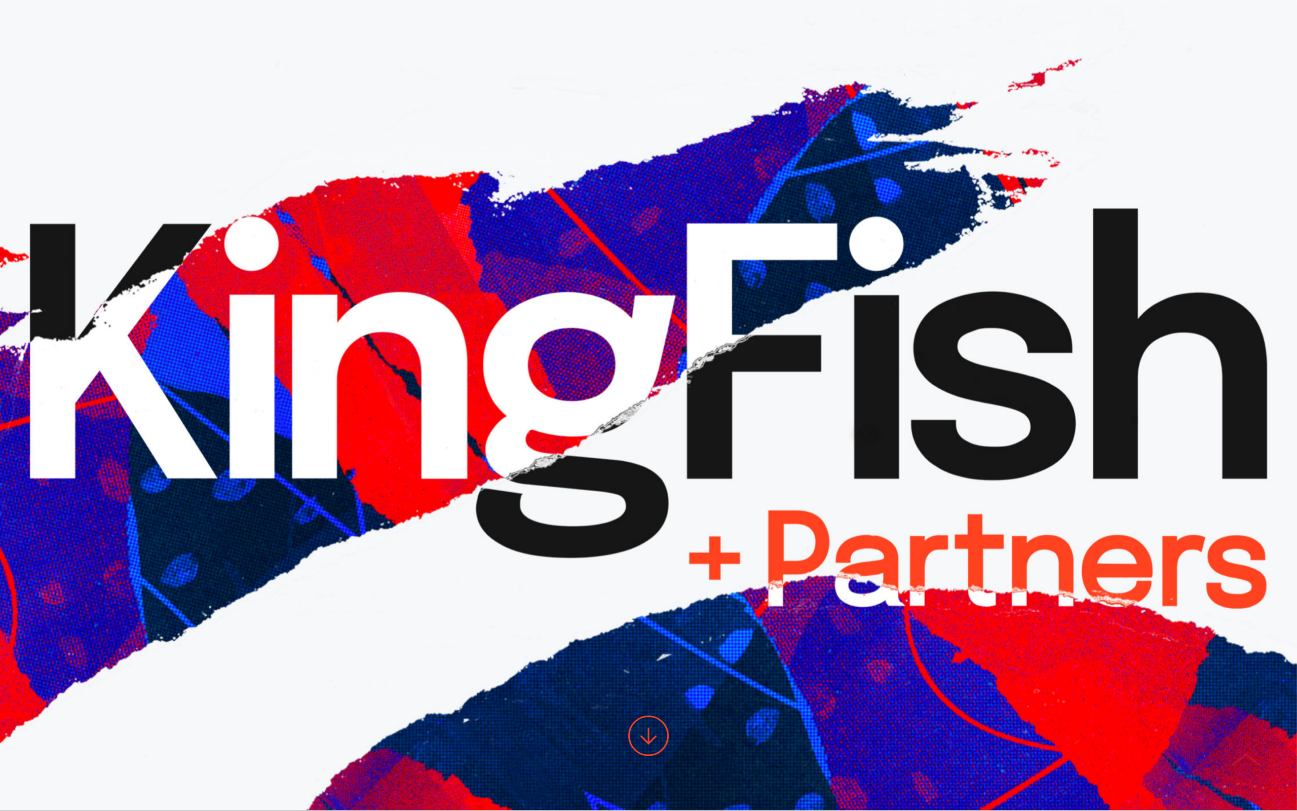 KingFish + Partners homepage — healthcare website design agency