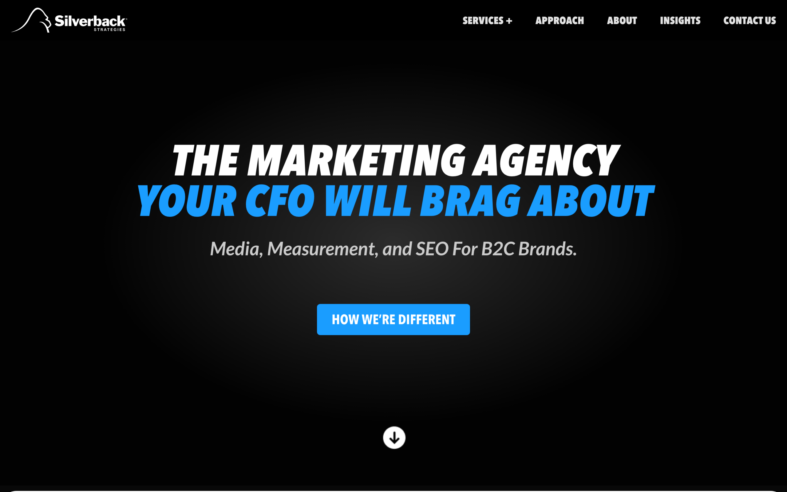 Silverback Strategies homepage — healthcare website design agency