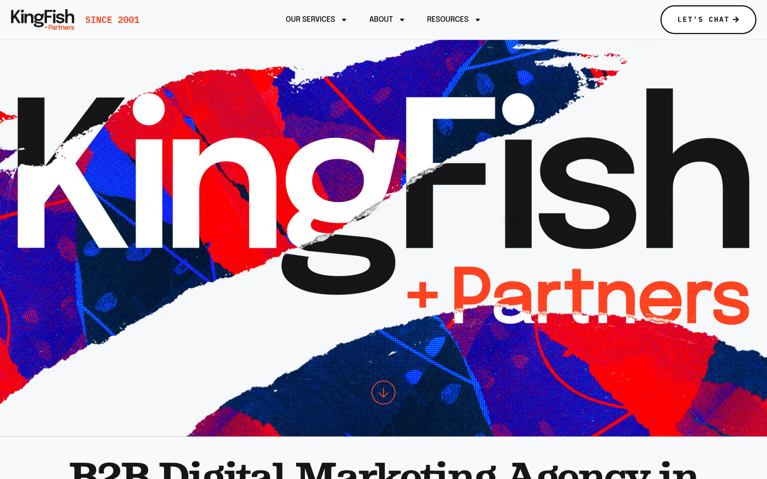 KingFish + Partners homepage - SaaS digital marketing agency